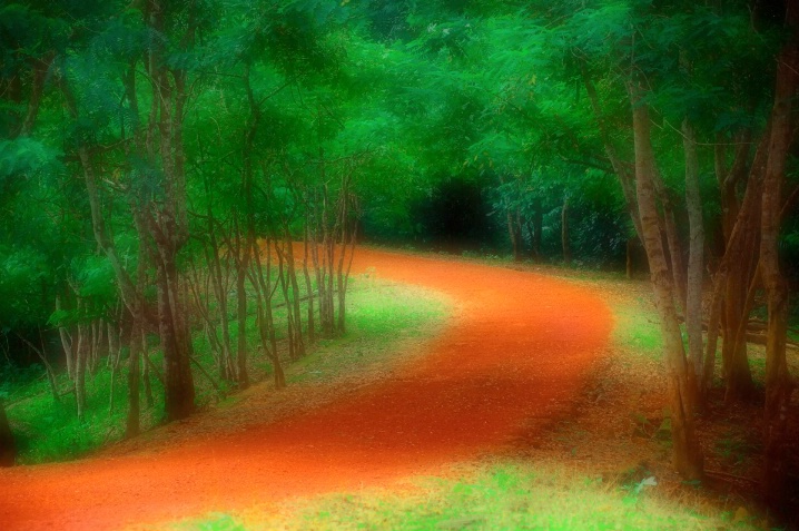 The Road From My Dream