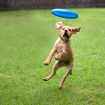 Jump!