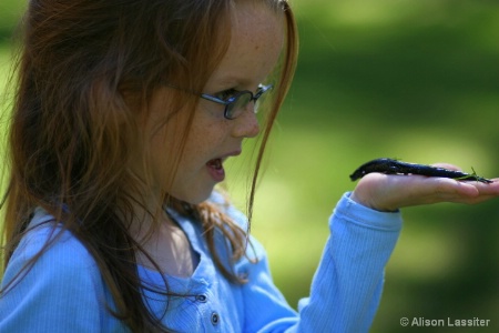 Speaking With Salamanders