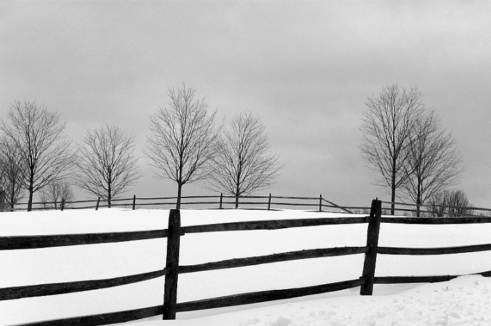 b_w40 - ID: 5875472 © Douglas Pignet