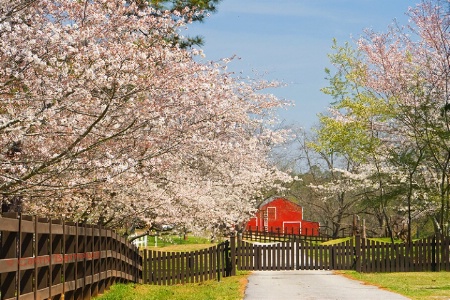 Fickling Barn