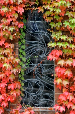 Autumn Chapel Revisited