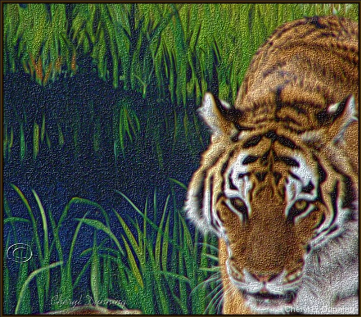 approaching tiger