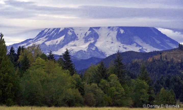 Flat-top, Mt Rainier-Washington - ID: 5886128 © Denny E. Barnes