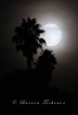 San Diego Moon