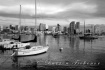 San Diego Boats B...