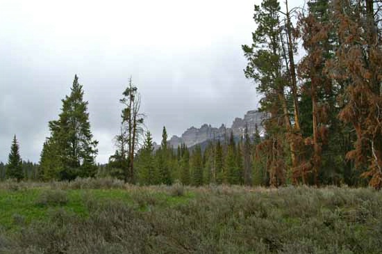 Teton Wilderness - ID: 5899320 © Crystal E. Berryman
