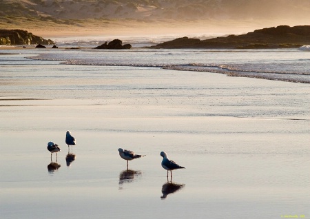 One Mile Beach Beauty Parlor.