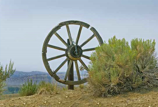 Wagon Wheel - ID: 5902304 © Crystal E. Berryman