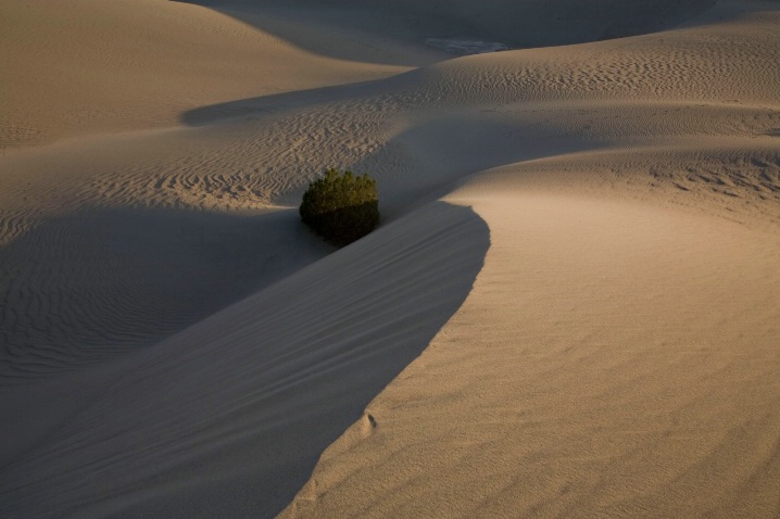 Dunes - ID: 5902660 © David Wolfe