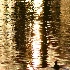 © David E. Fitzpatrick PhotoID# 5904240: Northern Nevada at Sunset