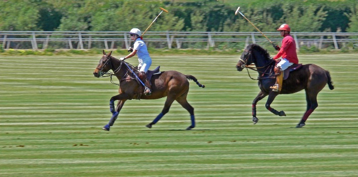How about some Polo?