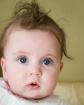 Wild Hair