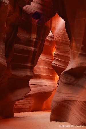 Canyon Glow