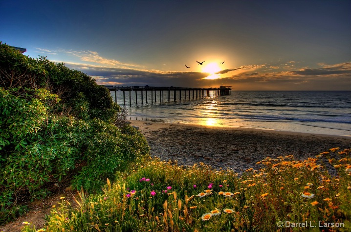 Pelican Pier Sunset