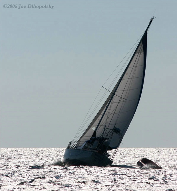 Morning Sailing