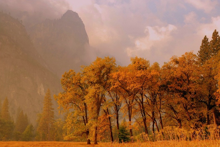 Yosemite Oaks