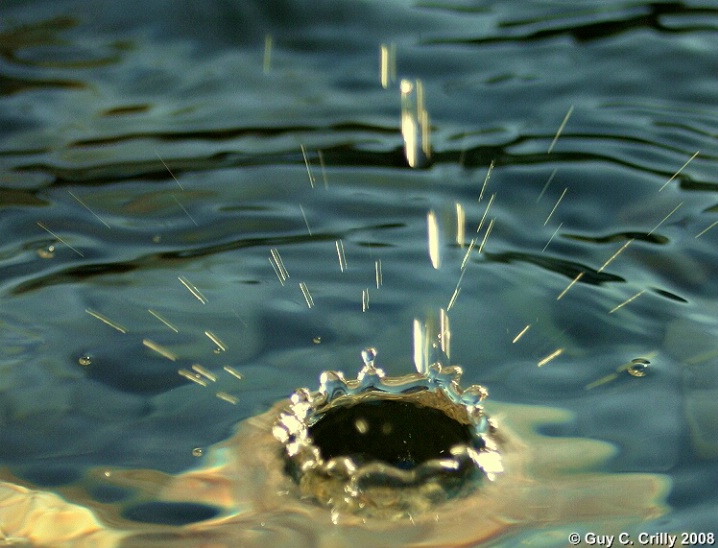 Water Crown II