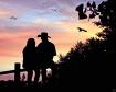Romance in Silhou...
