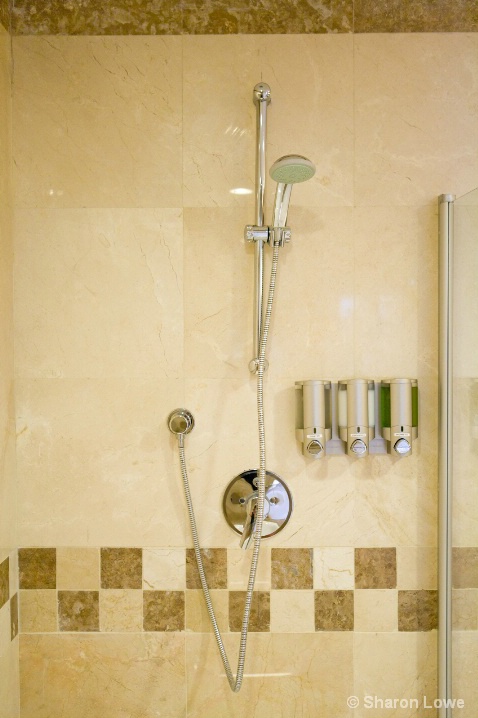 Shower in Corner Suite - ID: 5926899 © Sharon E. Lowe