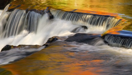 'Bond Falls'