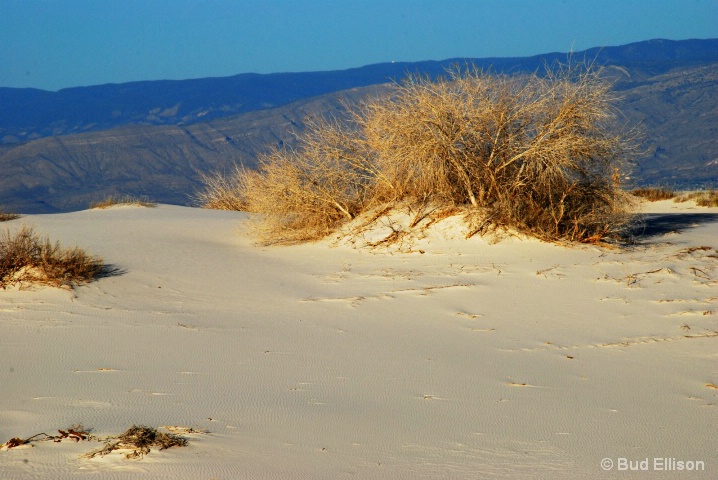 Sunset At The White Sands National Monument