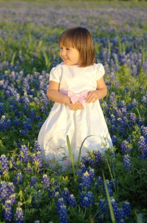 bluebonnets blooming in Texas