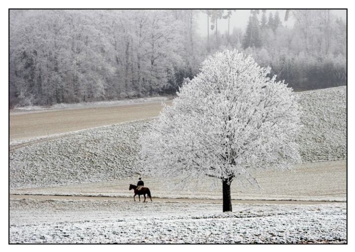 White frost