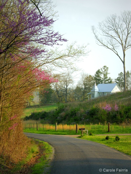 Spring On a Country Road