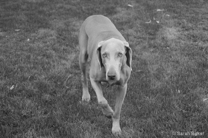 black and white boy