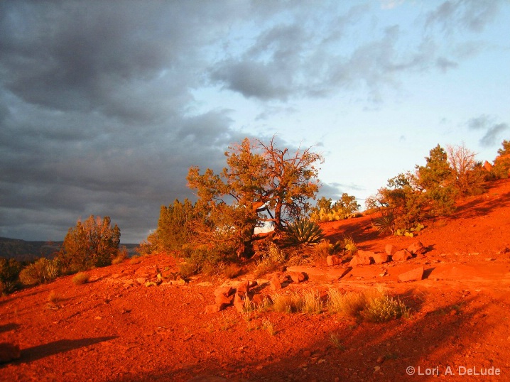 Sedona Sunset