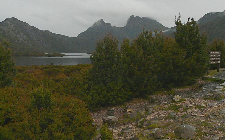 Misty Mtn.