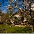 © David E. Fitzpatrick PhotoID# 5962741: 