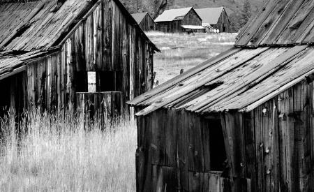 Abandoned Cabins