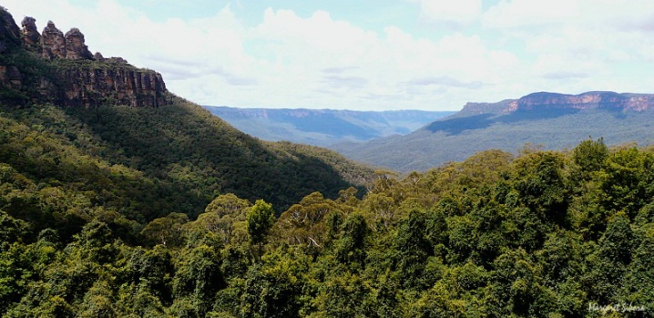 Overlooking  The Jamison Valley.