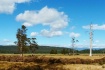 A Rural Scene,Tas...