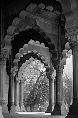 red-fort-columns