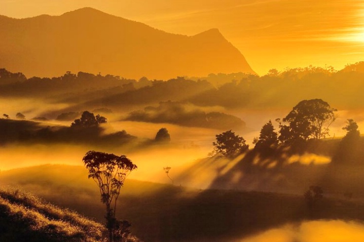 Mountian Through the Mist