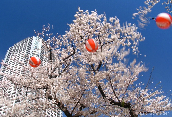 City Breeze in Tokyo