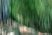 Bambo Curtain