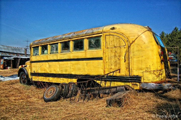 1950's school bus