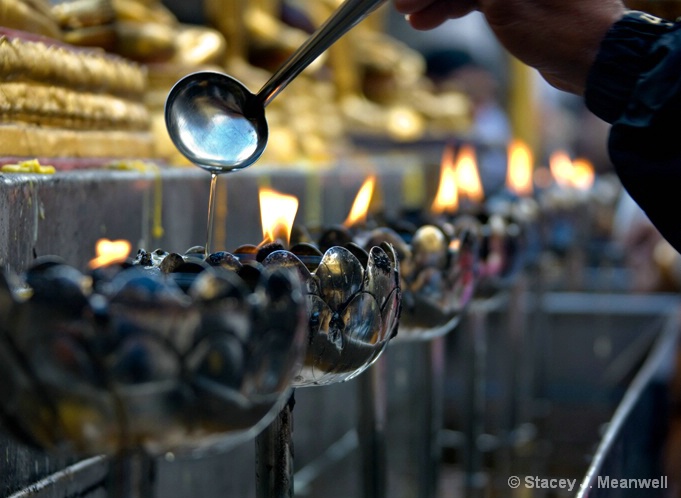 Lotus Prayers - ID: 6031765 © Stacey J. Meanwell