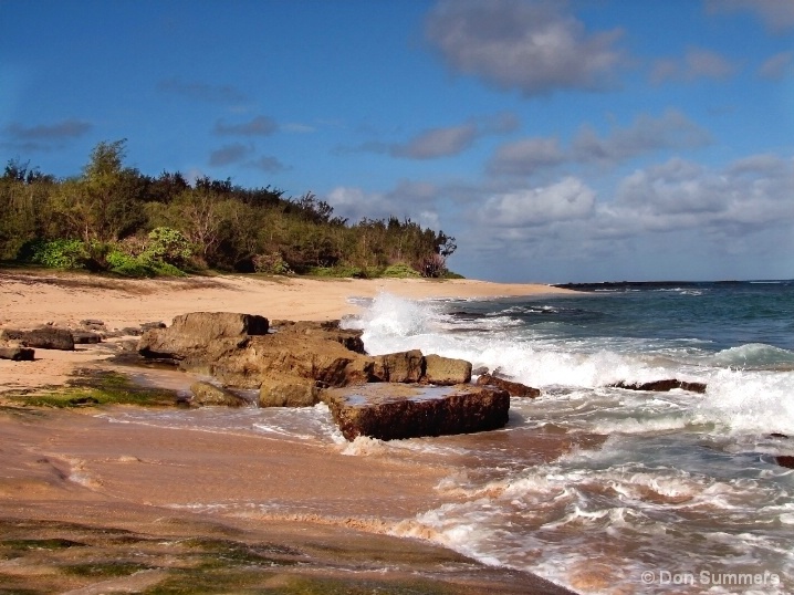 North Shore Oahu, HI 2006 - ID: 6046111 © Donald J. Comfort