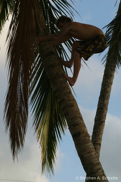 jake's coconuts