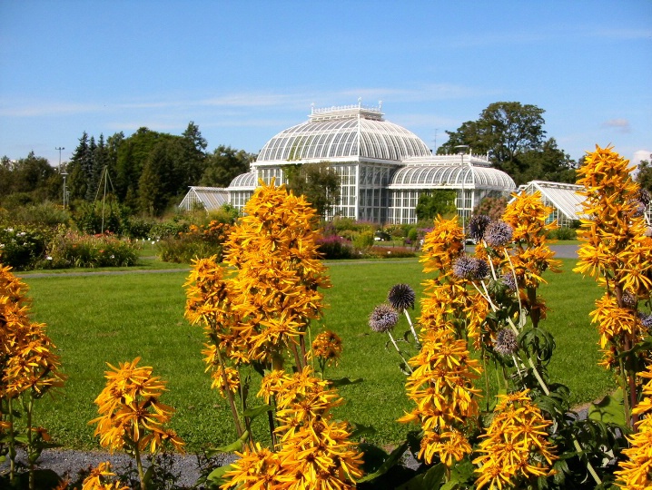 Helsinki's botanical garden