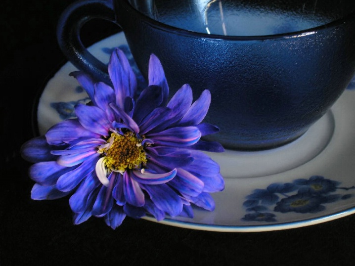 BLUE TEA CUP