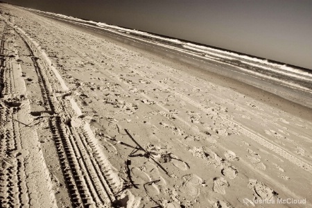Beach Lines