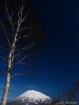 Mt. Fuji of the N...