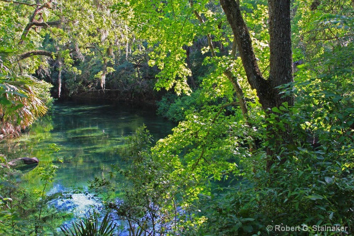 The Blue Lagoon