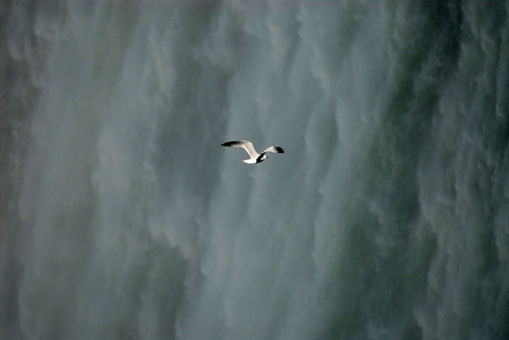 Flight into the Falls